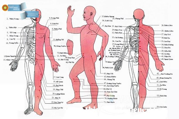 36 "tử huyệt" trên cơ thể cần được bảo vệ